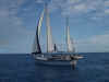 FJ_Freewind_in_company.jpg (112836 bytes)