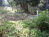 FJ_graveyard_of_lepers.jpg (342722 bytes)