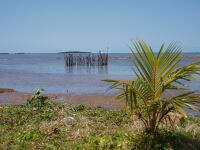 Fish_trap.jpg (201660 bytes)