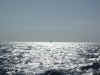 back_at_sea2.jpg (433436 bytes)