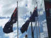flags.jpg (217767 bytes)