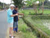 rice_technology.jpg (162782 bytes)