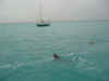 swimming_to_Carita.jpg (192147 bytes)