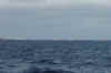 Armada.jpg (216106 bytes)