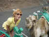 camel_imitations.jpg (359210 bytes)