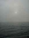 fog.jpg (91143 bytes)