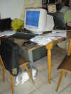 internet_rabbit.jpg (216536 bytes)