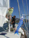 rigging_battened_main2.jpg (251160 bytes)