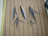 flying_fish.jpg (1101254 bytes)