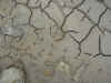 mud_flats.jpg (1344898 bytes)