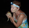 cane toad