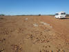 pebble field