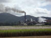 sugar mill