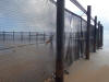 jellyfish fence